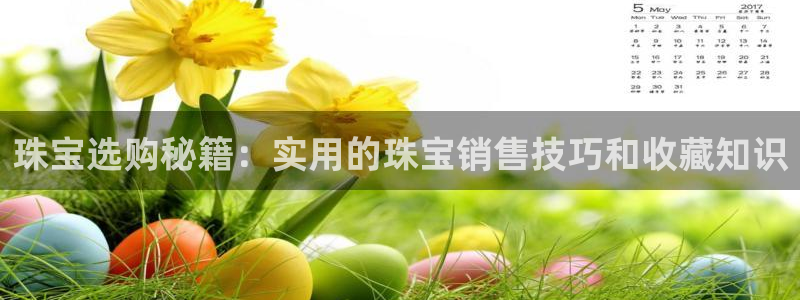 新宝5是谁的