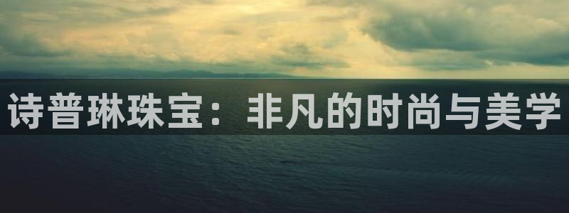 新宝5注册流程