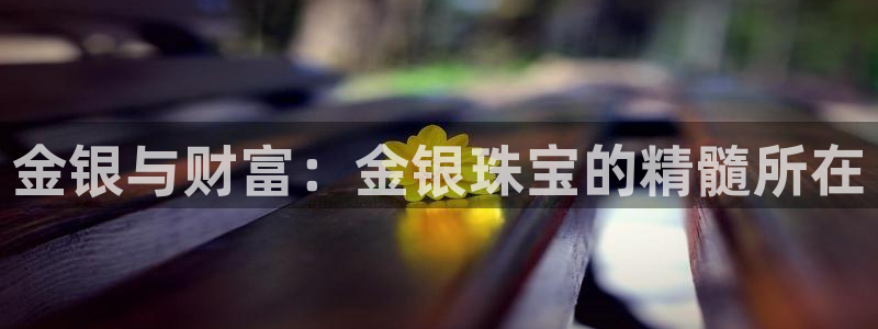 新宝5网站
