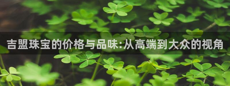 新宝5是谁