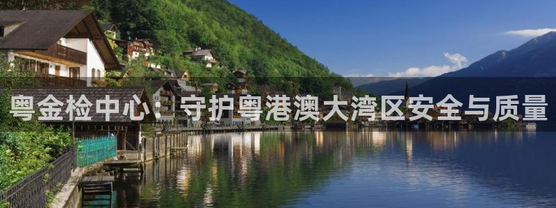 新宝5的网址