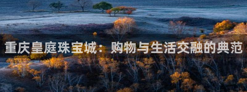 新宝5导师：重庆皇庭珠宝城：购物与生活交融的典范