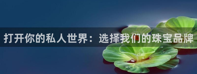 新宝rm5：打开你的私人世界：选择我们的珠宝品牌