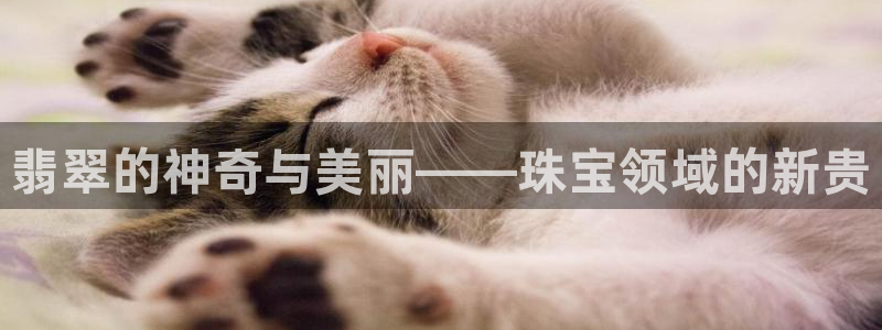 新宝5招商部：翡翠的神奇与美丽——珠宝领域的新贵
