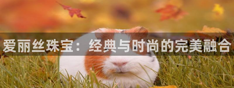 新宝5官方网站：爱丽丝珠宝：经典与时尚的完美融合