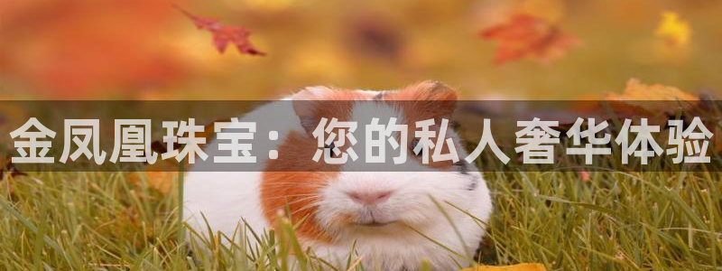 新宝5彩票娱乐平台：金凤凰珠宝：您的私人奢华体验