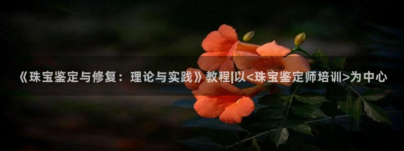 新宝xb5：《珠宝鉴定与修复：理论与实践》教程|以<珠宝鉴定师培训>为中心
