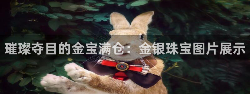 新宝m2O5O5O：璀璨夺目的金宝满仓：金银珠宝图片展示