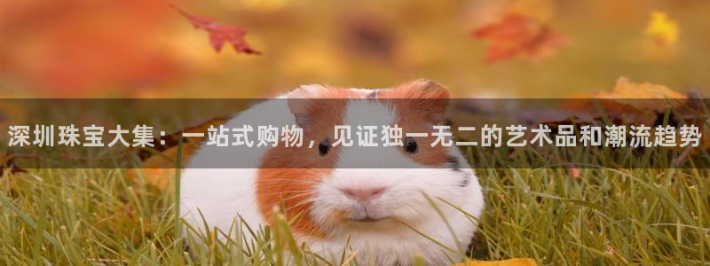 新宝5平台登录下载软件：深圳珠宝大集：一站式购物，见证独一无二的艺术品和潮流趋势