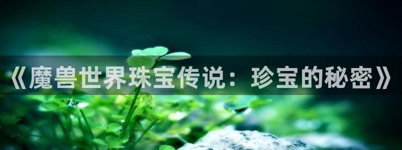 新宝5是什么：《魔兽世界珠宝传说：珍宝的秘密》