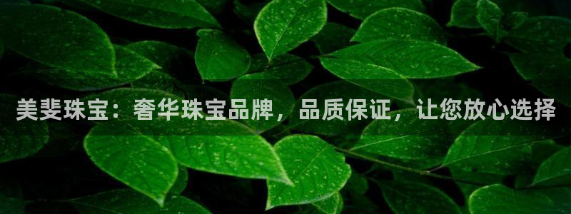 新宝5得74OOO5：美斐珠宝：奢华珠宝品牌，品质保证，让您放心选择