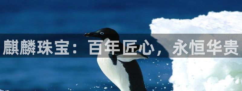 新宝5娱乐都：麒麟珠宝：百年匠心，永恒华贵