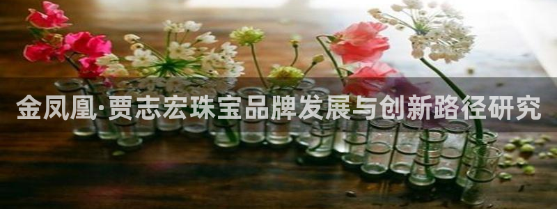 新宝rc_5w：金凤凰·贾志宏珠宝品牌发展与创新路径研究