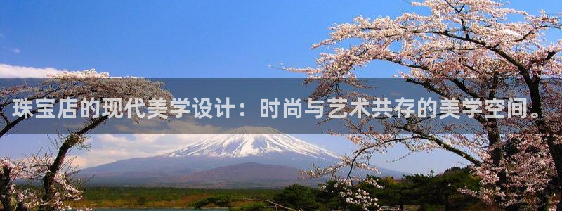 新宝5是谁的：珠宝店的现代美学设计：时尚与艺术共存的美学空间。