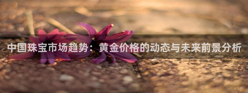 新宝5开好：中国珠宝市场趋势：黄金价格的动态与未来前景分析