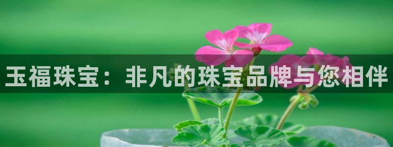 新宝5代理：玉福珠宝：非凡的珠宝品牌与您相伴