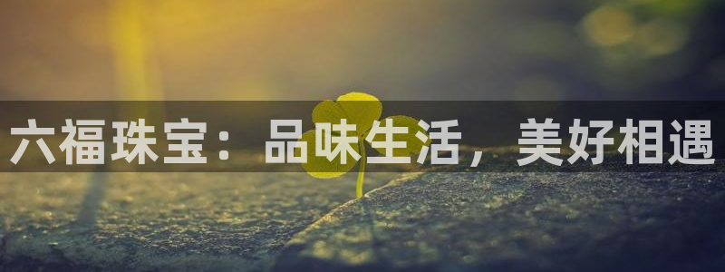 新宝5台卡：六福珠宝：品味生活，美好相遇