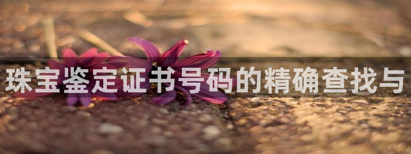 新宝5吴74OOO5：珠宝鉴定证书号码的精确查找与