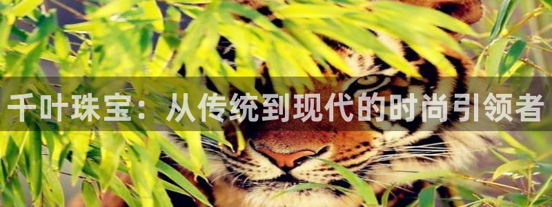 新宝5代理：千叶珠宝：从传统到现代的时尚引领者