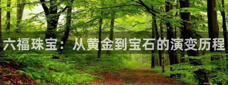 新宝m2O5O5O：六福珠宝：从黄金到宝石的演变历程