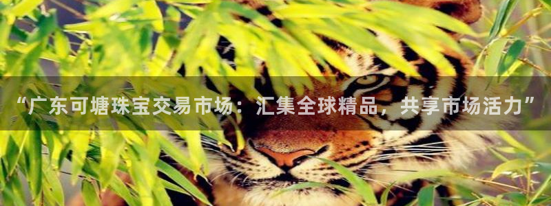 新宝5首页：“广东可塘珠宝交易市场：汇集全球精品，共享市场活力”