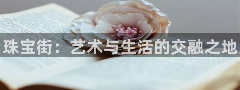 新宝5线路登录检测：珠宝街：艺术与生活的交融之地