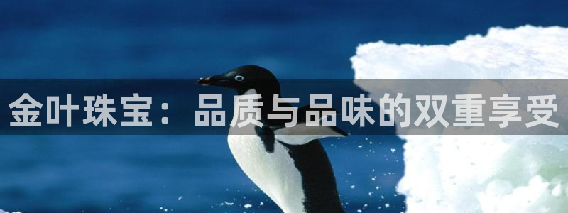 新宝5娱乐注：金叶珠宝：品质与品味的双重享受