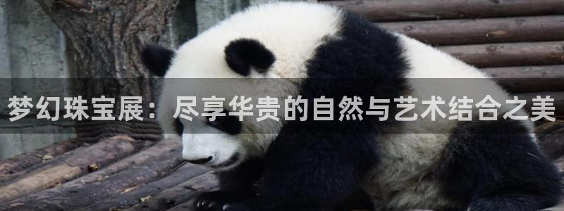新宝5浗维33 300：梦幻珠宝展：尽享华贵的自然与艺术结合之美