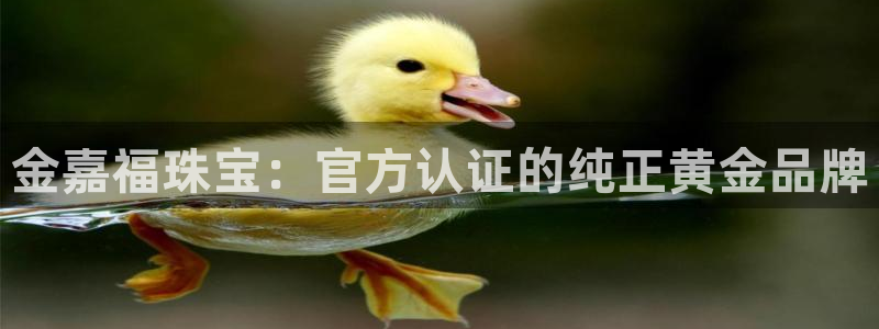 新宝5寻33 300球：金嘉福珠宝：官方认证的纯正黄金品牌