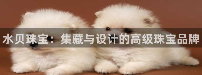 新宝5娱乐经：水贝珠宝：集藏与设计的高级珠宝品牌