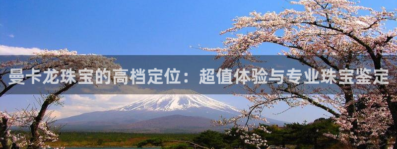 新宝5招商222111：曼卡龙珠宝的高档定位：超值体验与专业珠宝鉴定