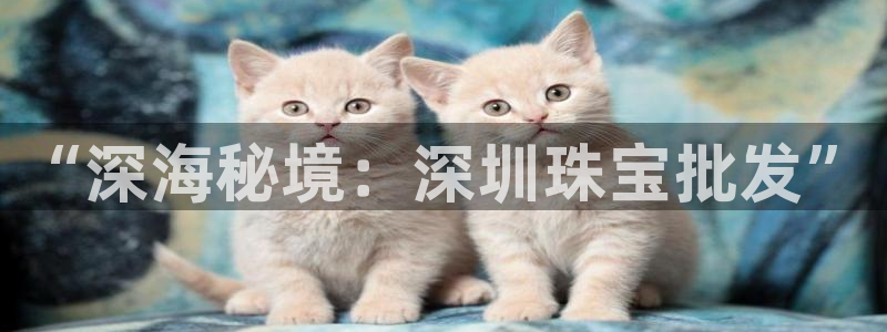 新宝5娱乐招商：“深海秘境：深圳珠宝批发”