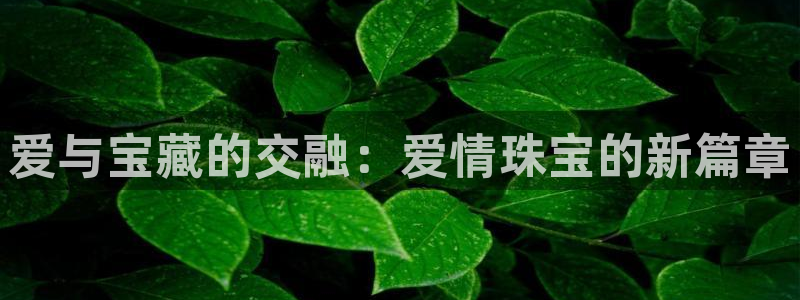 新宝5飞355051：爱与宝藏的交融：爱情珠宝的新篇章