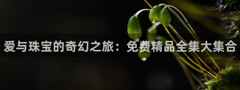 新宝5官网：爱与珠宝的奇幻之旅：免费精品全集大集合