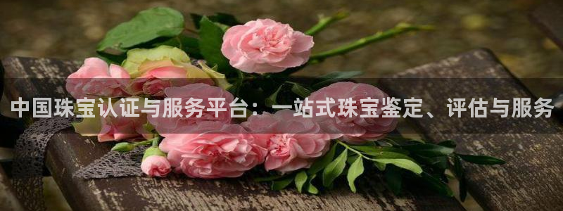 新宝5app手机下载：中国珠宝认证与服务平台：一站式珠宝鉴定、评估与服务