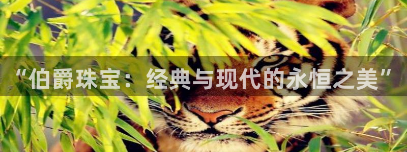 新宝5球维33 300：“伯爵珠宝：经典与现代的永恒之美”