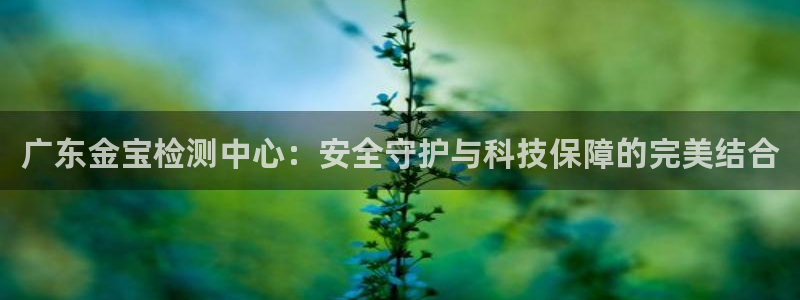 新宝5平台注册资金：广东金宝检测中心：安全守护与科技保障的完美结合