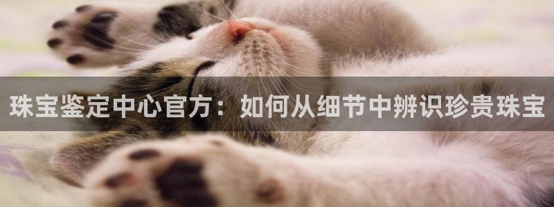 新宝5官网app：珠宝鉴定中心官方：如何从细节中辨识珍贵珠宝