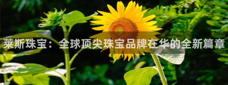 新宝5：莱斯珠宝：全球顶尖珠宝品牌在华的全新篇章