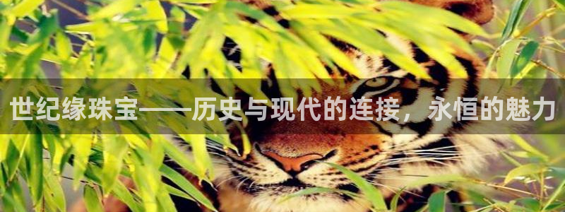 新宝5-测速：世纪缘珠宝——历史与现代的连接，永恒的魅力