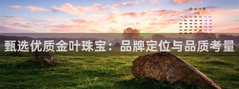 新宝5 - 测速登陆：甄选优质金叶珠宝：品牌定位与品质考量