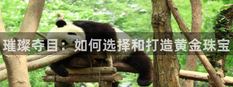 新宝5的网址：璀璨夺目：如何选择和打造黄金珠宝