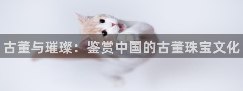 新宝5新宝6顺达：古董与璀璨：鉴赏中国的古董珠宝文化