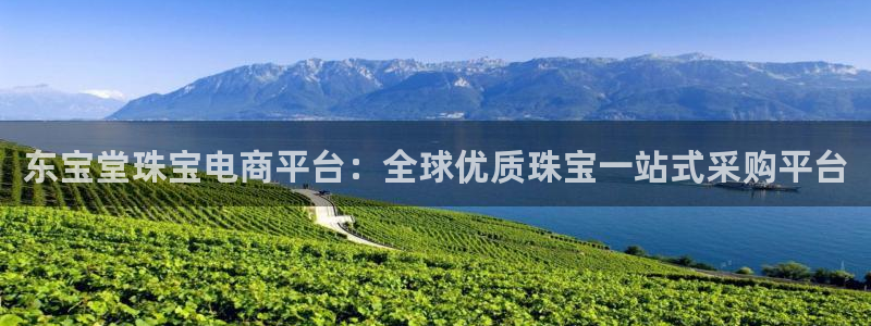 新宝集团新宝5：东宝堂珠宝电商平台：全球优质珠宝一站式采购平台