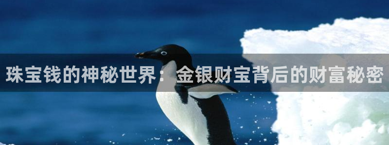 新宝5总代：珠宝钱的神秘世界：金银财宝背后的财富秘密