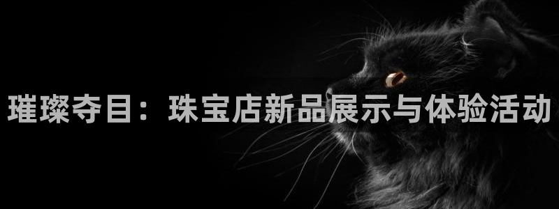 新宝5什么时候上市：璀璨夺目：珠宝店新品展示与体验活动