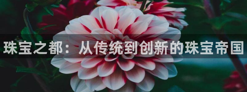 新宝5月：珠宝之都：从传统到创新的珠宝帝国