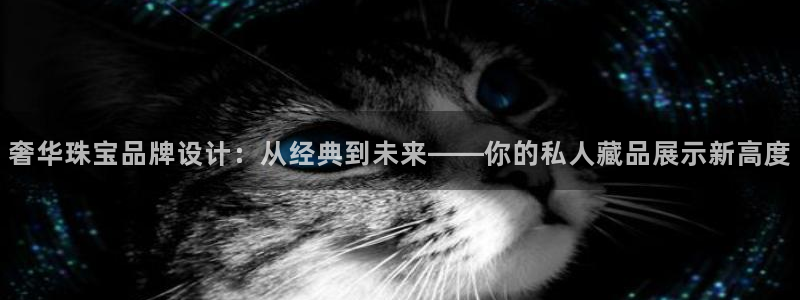 新宝5娱乐招商：奢华珠宝品牌设计：从经典到未来——你的私人藏品展示新高度