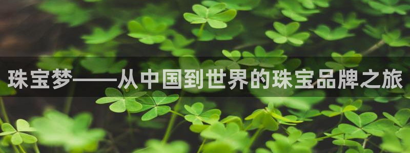 新宝5官网平台：珠宝梦——从中国到世界的珠宝品牌之旅