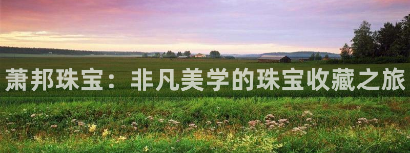 新宝j2O5O5O：萧邦珠宝：非凡美学的珠宝收藏之旅
